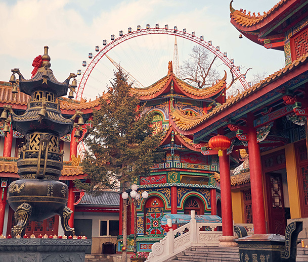 Culture Nature - Experience 2