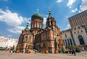 Culture Nature - Experience 3