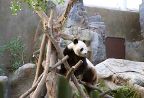 Culture - Experience 3