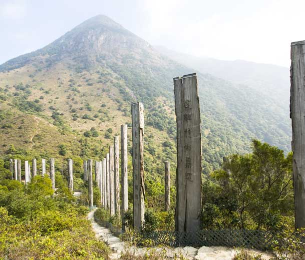 Culture - Experience 2