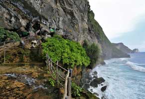 Nature  - Experience 4