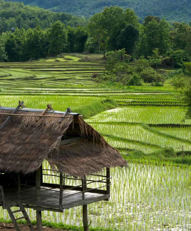 Culture Nature - Experience 1