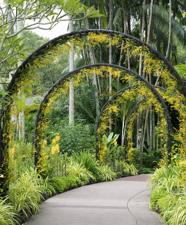 Culture - Experience 1