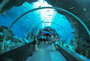 Culture - Experience 4