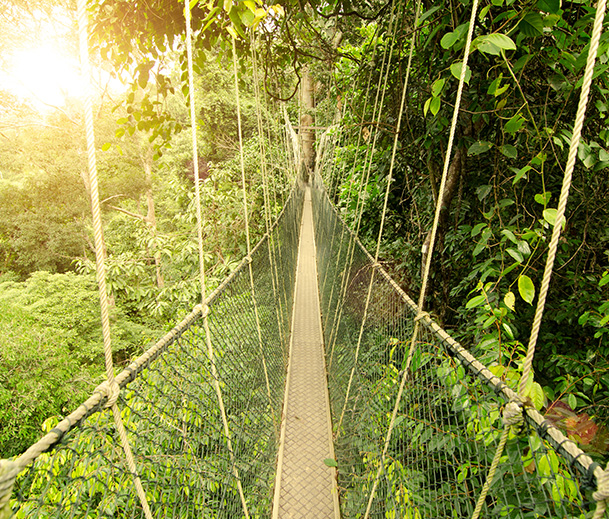 Nature Adventure  - Experience 2