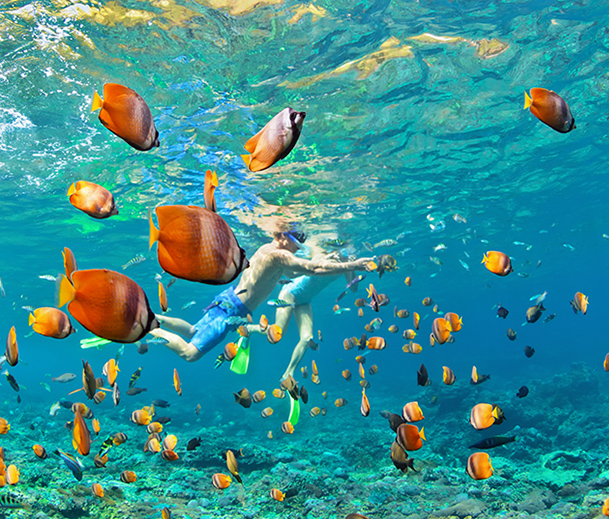 Adventure - Experience 2