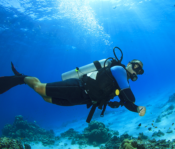 Nature  - Experience 2