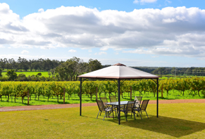 Culture - Experience 3